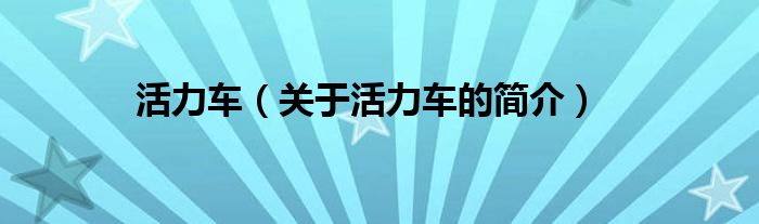 活力车（关于活力车的简介）