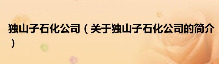 独山子石化公司（关于独山子石化公司的简介）