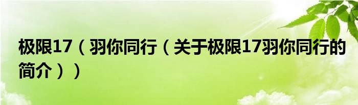 极限17（羽你同行（关于极限17羽你同行的简介））
