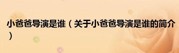 小爸爸导演是谁（关于小爸爸导演是谁的简介）