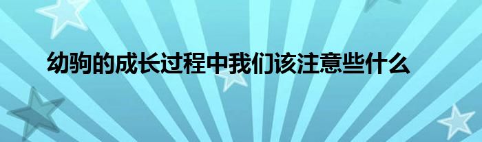 幼驹的成长过程中我们该注意些什么