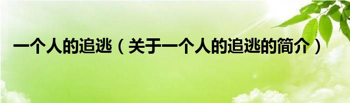 一个人的追逃（关于一个人的追逃的简介）