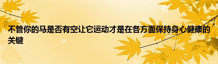 不管你的马是否有空让它运动才是在各方面保持身心健康的关键