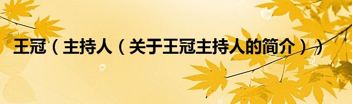 王冠（主持人（关于王冠主持人的简介））