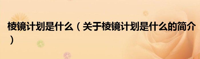 棱镜计划是什么（关于棱镜计划是什么的简介）