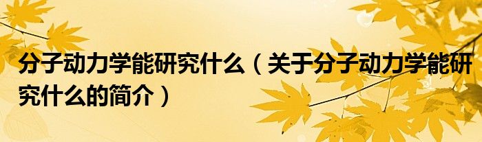 分子动力学能研究什么（关于分子动力学能研究什么的简介）