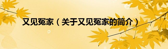 又见冤家（关于又见冤家的简介）