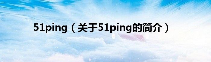 51ping（关于51ping的简介）