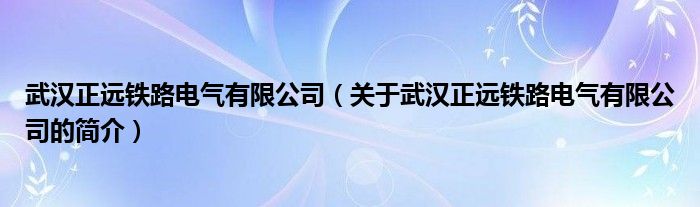 武汉正远铁路电气有限公司（关于武汉正远铁路电气有限公司的简介）