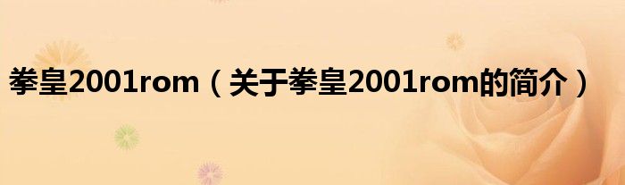 拳皇2001rom（关于拳皇2001rom的简介）