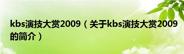 kbs演技大赏2009（关于kbs演技大赏2009的简介）