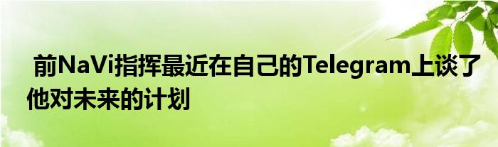  前NaVi指挥最近在自己的Telegram上谈了他对未来的计划