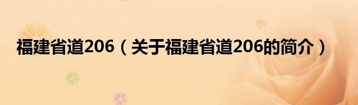 福建省道206（关于福建省道206的简介）