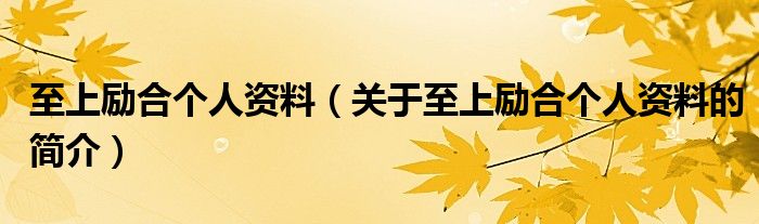 至上励合个人资料（关于至上励合个人资料的简介）