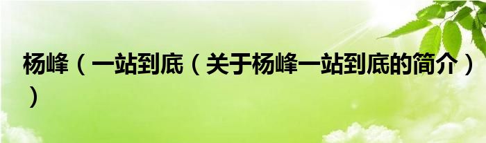 杨峰（一站到底（关于杨峰一站到底的简介））