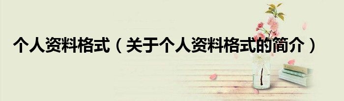 个人资料格式（关于个人资料格式的简介）