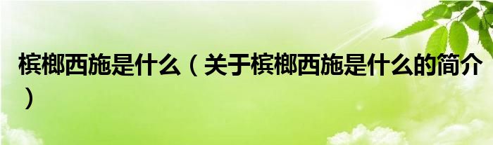 槟榔西施是什么（关于槟榔西施是什么的简介）