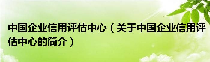 中国企业信用评估中心（关于中国企业信用评估中心的简介）