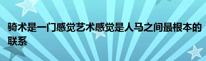 骑术是一门感觉艺术感觉是人马之间最根本的联系