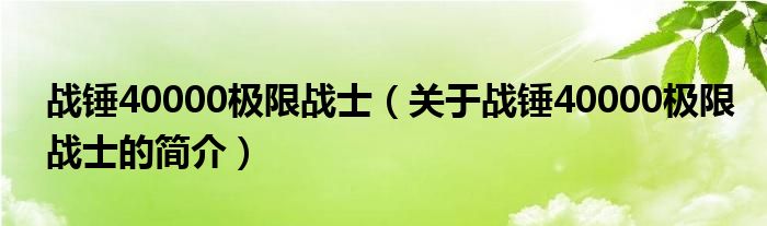 战锤40000极限战士（关于战锤40000极限战士的简介）