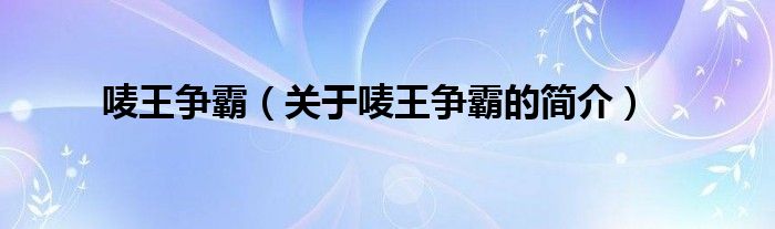 唛王争霸（关于唛王争霸的简介）