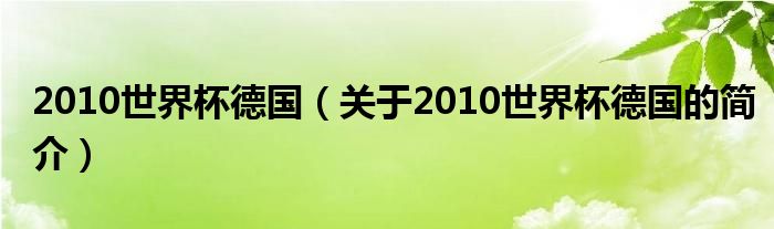 2010世界杯德国（关于2010世界杯德国的简介）