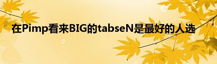 在Pimp看来BIG的tabseN是最好的人选