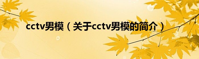 cctv男模（关于cctv男模的简介）