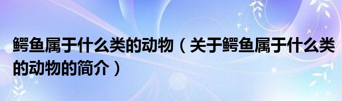 鳄鱼属于什么类的动物（关于鳄鱼属于什么类的动物的简介）