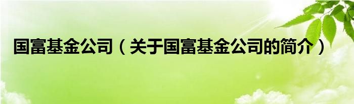 国富基金公司（关于国富基金公司的简介）