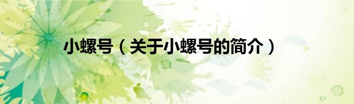 小螺号（关于小螺号的简介）