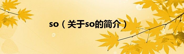 so（关于so的简介）