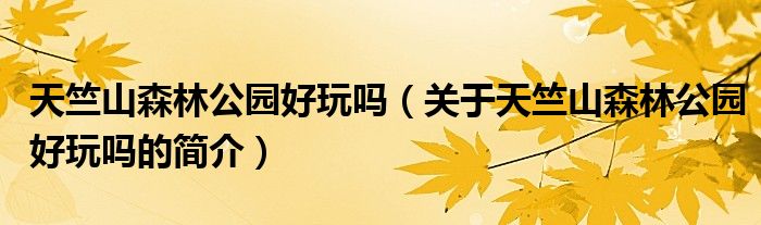 天竺山森林公园好玩吗（关于天竺山森林公园好玩吗的简介）