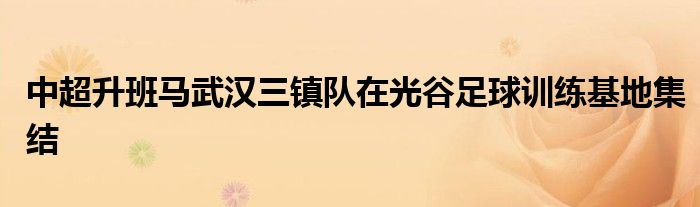 中超升班马武汉三镇队在光谷足球训练基地集结