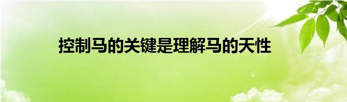 控制马的关键是理解马的天性