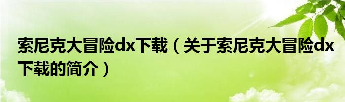 索尼克大冒险dx下载（关于索尼克大冒险dx下载的简介）