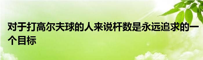 对于打高尔夫球的人来说杆数是永远追求的一个目标