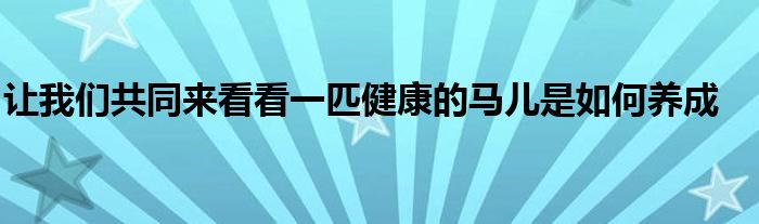 让我们共同来看看一匹健康的马儿是如何养成