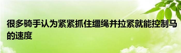 很多骑手认为紧紧抓住缰绳并拉紧就能控制马的速度