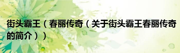 街头霸王（春丽传奇（关于街头霸王春丽传奇的简介））