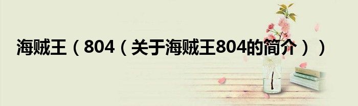 海贼王（804（关于海贼王804的简介））