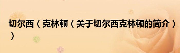 切尔西（克林顿（关于切尔西克林顿的简介））