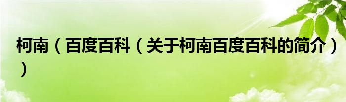 柯南（百度百科（关于柯南百度百科的简介））