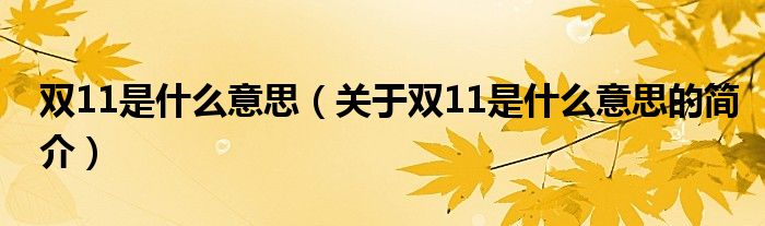 双11是什么意思（关于双11是什么意思的简介）