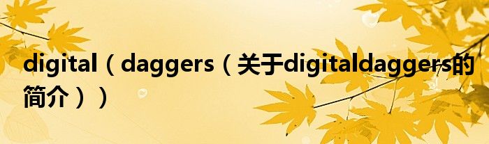 digital（daggers（关于digitaldaggers的简介））