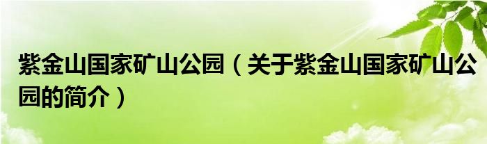 紫金山国家矿山公园（关于紫金山国家矿山公园的简介）
