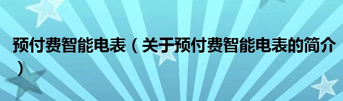 预付费智能电表（关于预付费智能电表的简介）