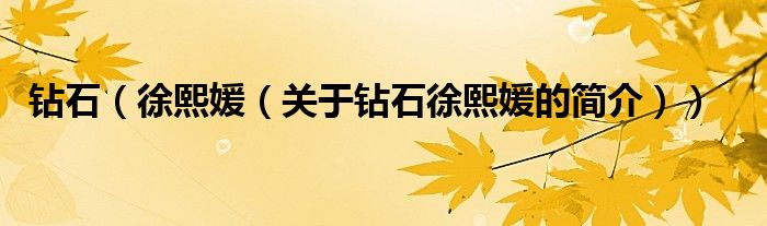 钻石（徐熙媛（关于钻石徐熙媛的简介））