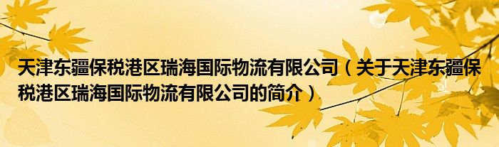 天津东疆保税港区瑞海国际物流有限公司（关于天津东疆保税港区瑞海国际物流有限公司的简介）