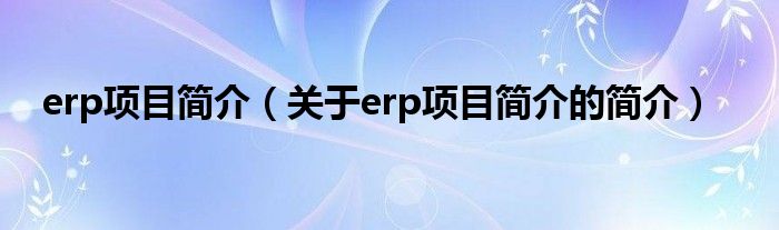 erp项目简介（关于erp项目简介的简介）